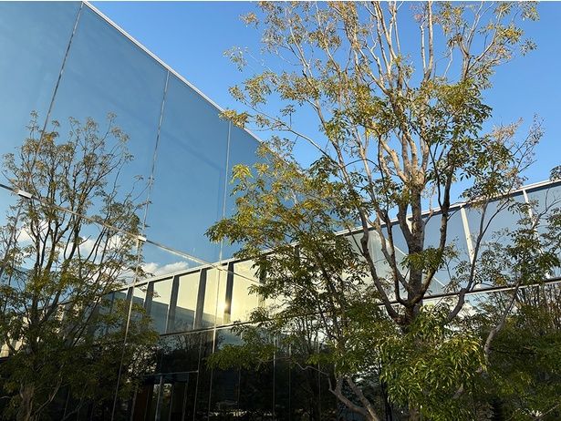 管理棟に映り込む空や草木もまた美しい