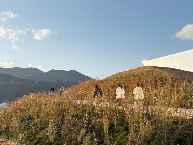 企画展示室の屋上は「望洋テラス」になっている