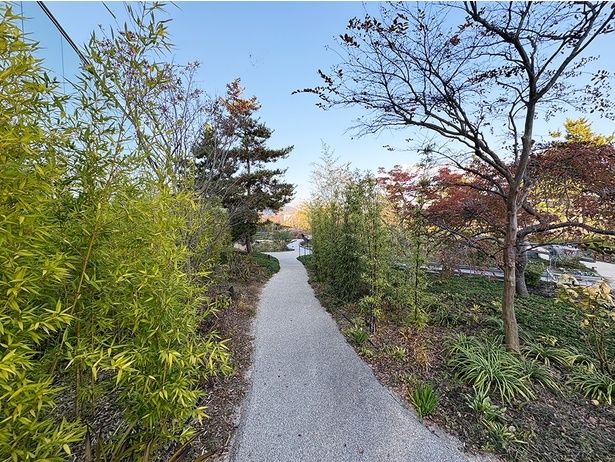 小道を散歩しながら四季折々の植物を観察できる