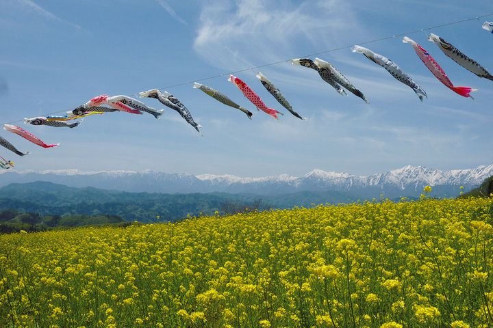 【春のフォトツーリング】桜の後は「花のリレー」を楽しもう！