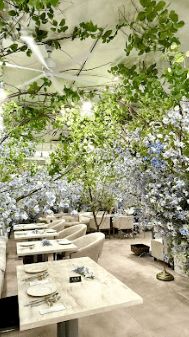 HAUTE COUTURE BRANCH(オートクチュールブランチ）