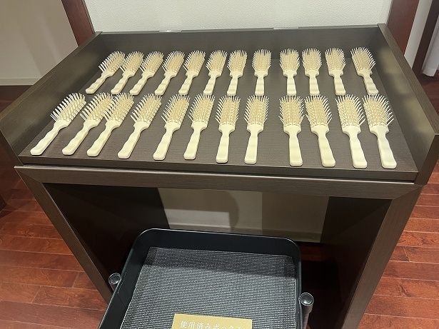 ヘアブラシも用意されているのはうれしい