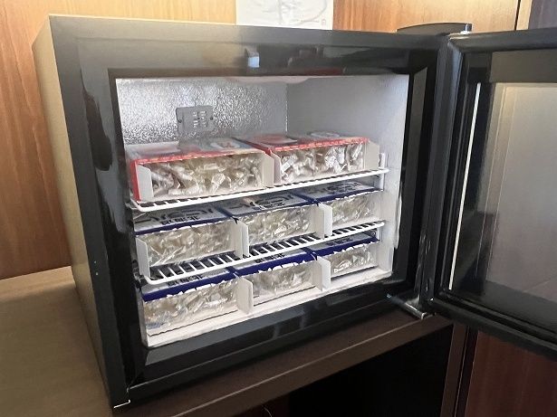 リラクセーションラウンジの手前にサービスのアイスが置かれている