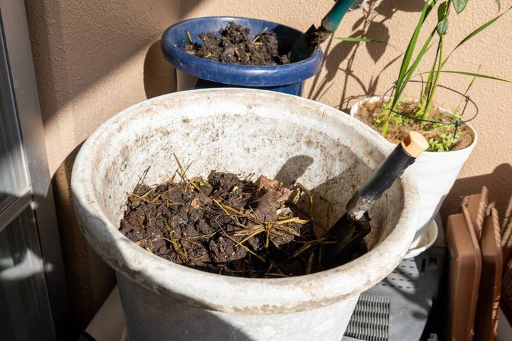 バルコニー 家庭運 下がる 枯れた植物 割れた植木鉢