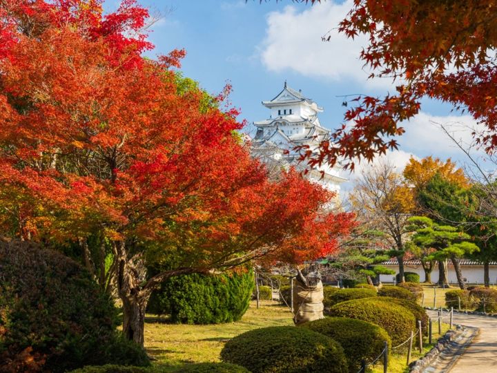 兵庫県姫路市に位置する「塩田温泉」は、播磨路ののどかな田園風景に包まれた歴史ある温泉地です。世界遺産・姫路城から車で約30分という好立地にありながら、静寂に浸れる隠れ家的な湯の里として人気です。