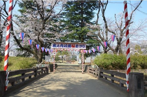 園内は桜のほかにささやかながら装飾も施される / 城之内公園の桜 画像提供：大泉町役場公園下水道課