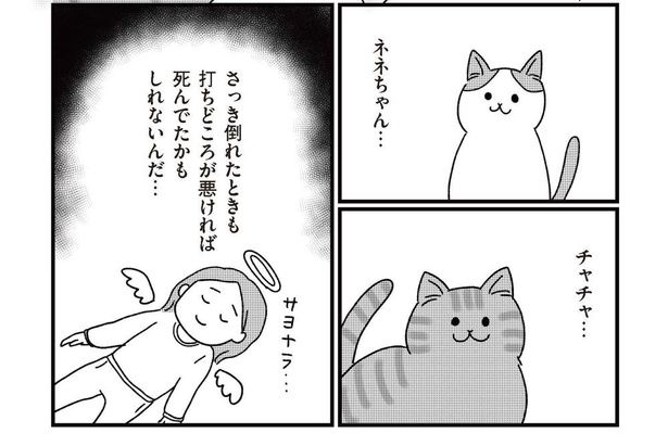 第1話『ねこ婚〜猫のための交際ゼロ日婚〜』_12 画像提供：(C)たけみゆき／KADOKAWA