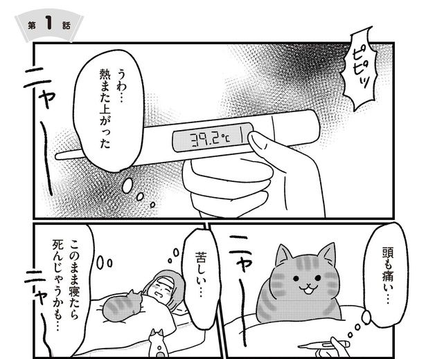 【漫画】猫のために、交際0日婚で結婚!? 画像提供：(C)たけみゆき／KADOKAWA