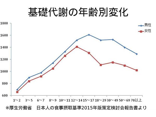 基礎代謝の年齢別変化