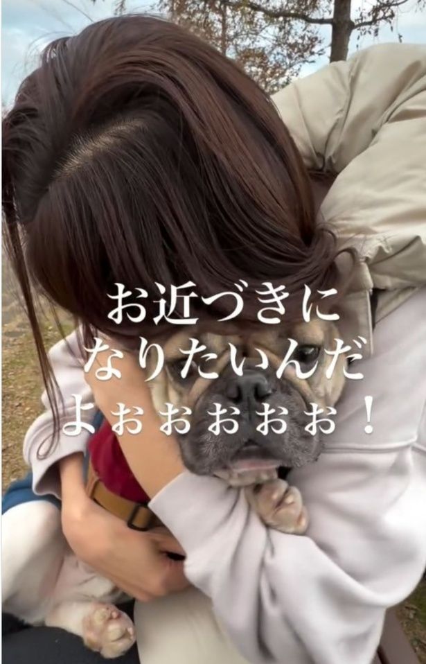 他の犬にとびつこうとするのを必死に止める飼い主さん▶（⇒次ページからコミックエッセイ『犬ぽんちゃん、今日もわが道を行く』を読めます） フレンチブルドッグ♂エルさんのInstagramより