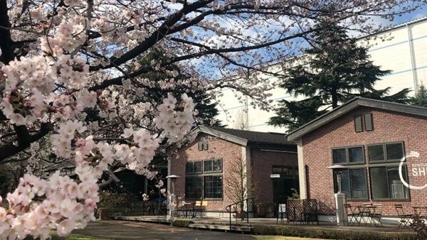 【埼玉県川口市】プラントベース・カフェ「1110 CAFE/BAKERY」に3種の季節限定新メニューが登場