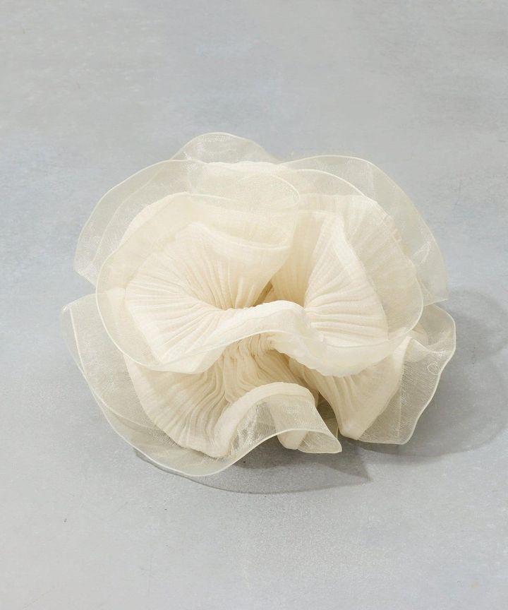 画像2: 出典：3COINS