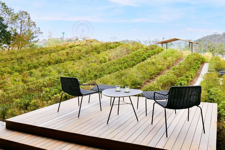 テラスからの眺め