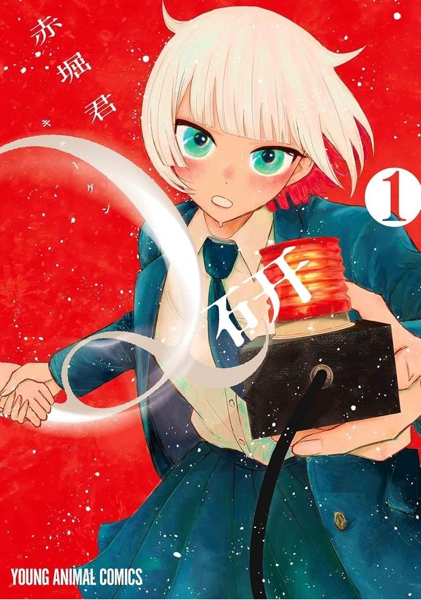 Q研 赤堀君/白泉社