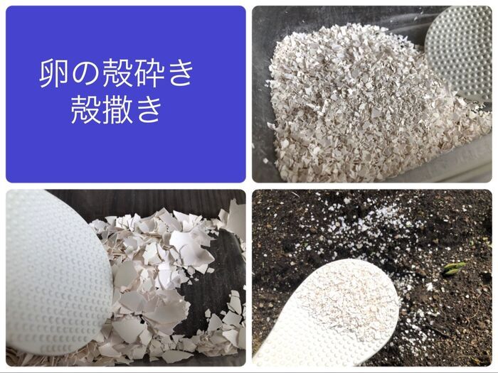 卵の殻砕き