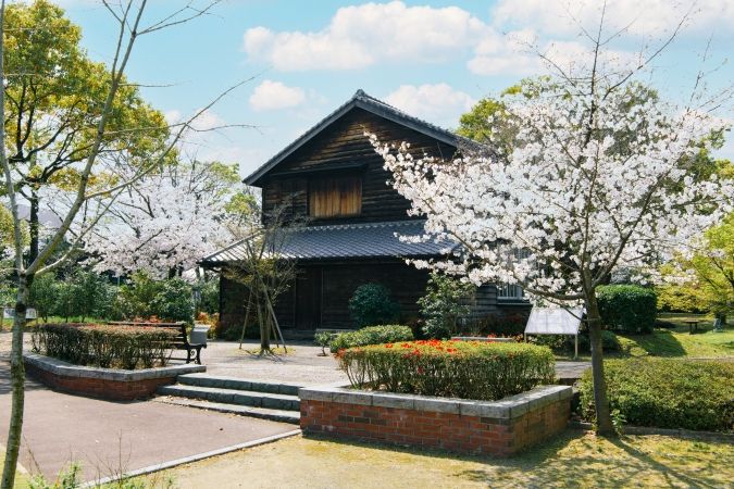 石橋文化センター 桜並木