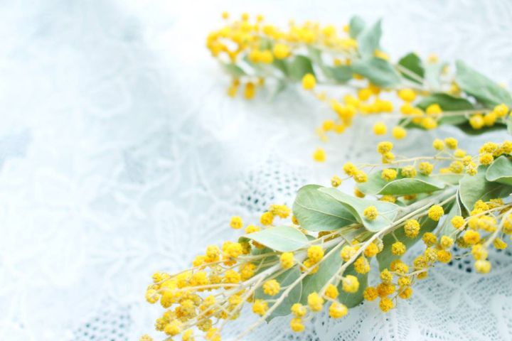 南西 対人運 上がる 花