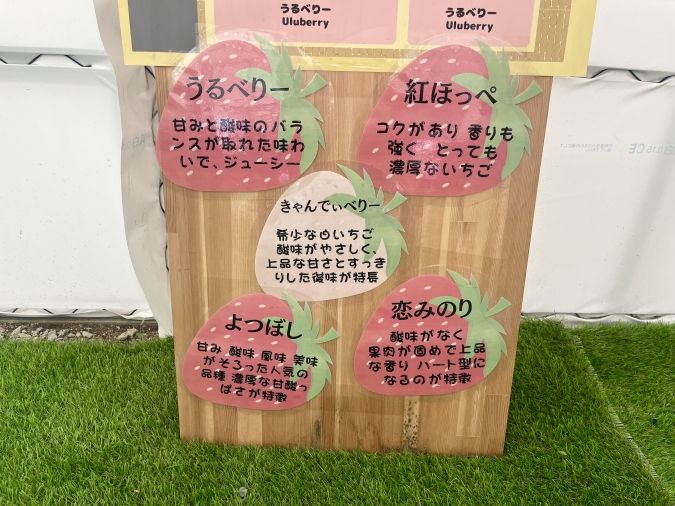 UluuGardensSAGA（うるうガーデンズ佐賀）品種