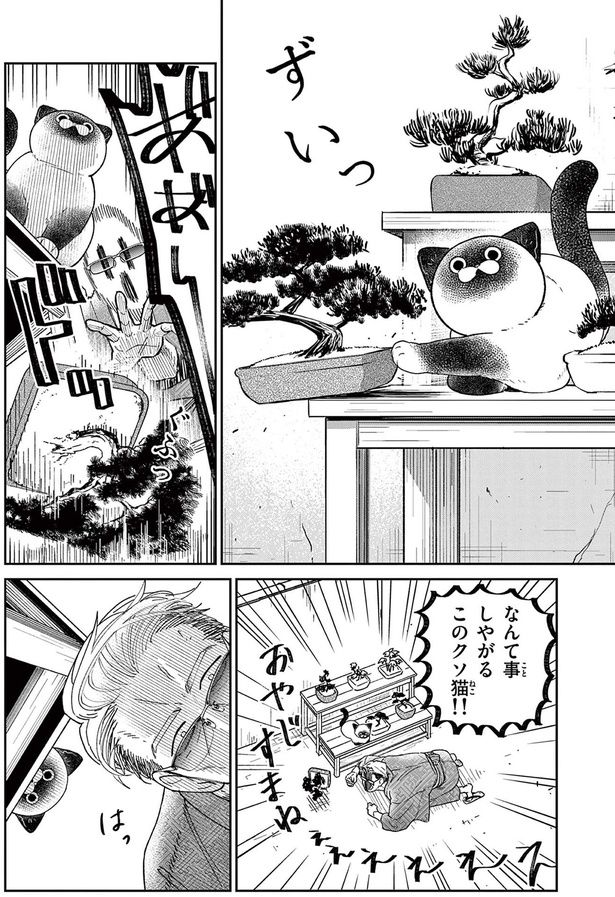 ずいっ （C）片倉頼／小学館