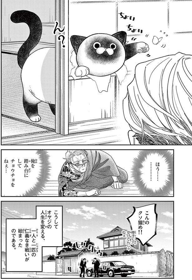 こんのクソ猫め！！ （C）片倉頼／小学館