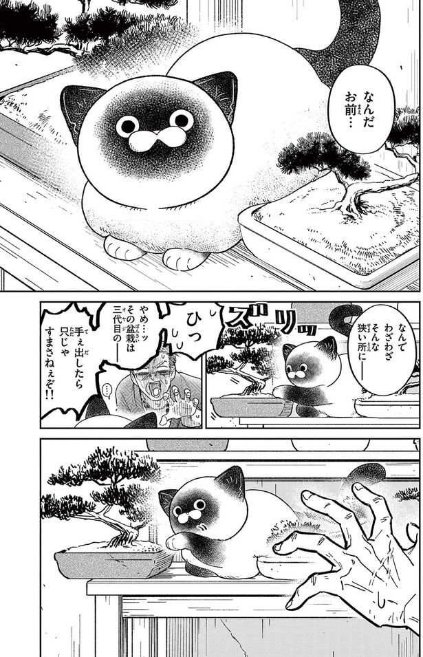 なんだお前... （C）片倉頼／小学館