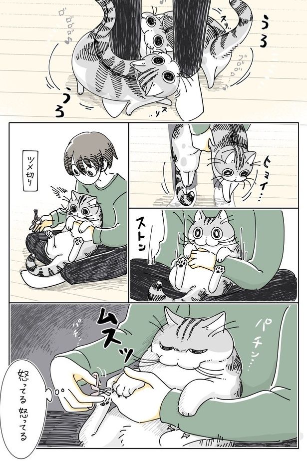 『不機嫌ゴロゴロ』01 画像提供：キュルZ@kyuryuZ