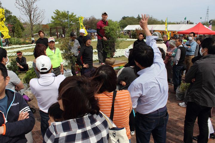 みのり会による植木オークション