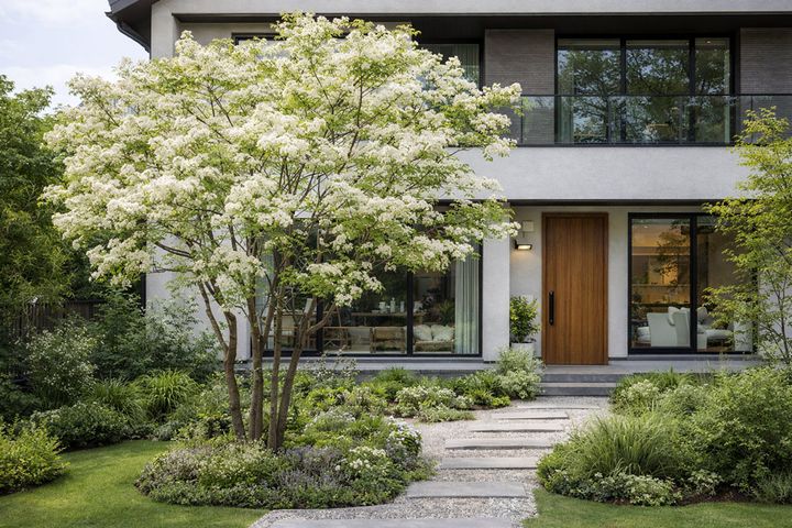 今、この時期に鈴鹿で植木を選ぶメリットとは？