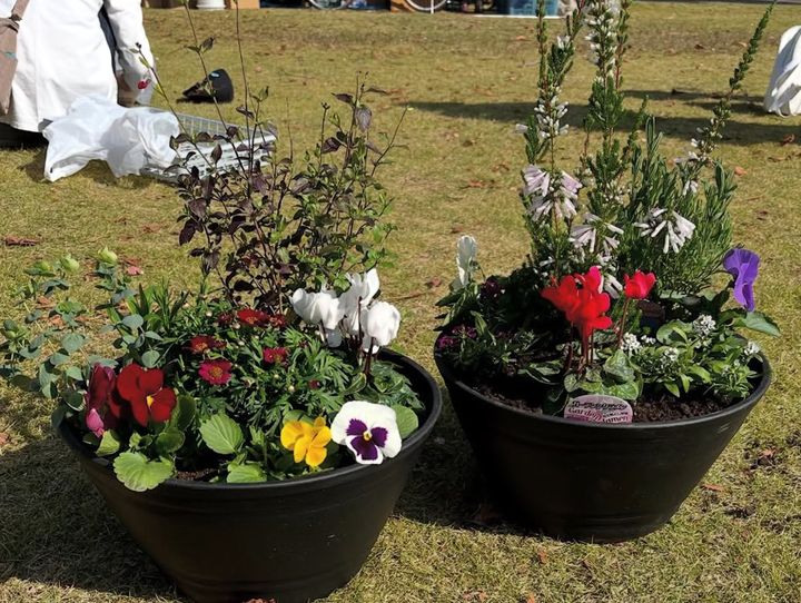 寄せ植え体験作品