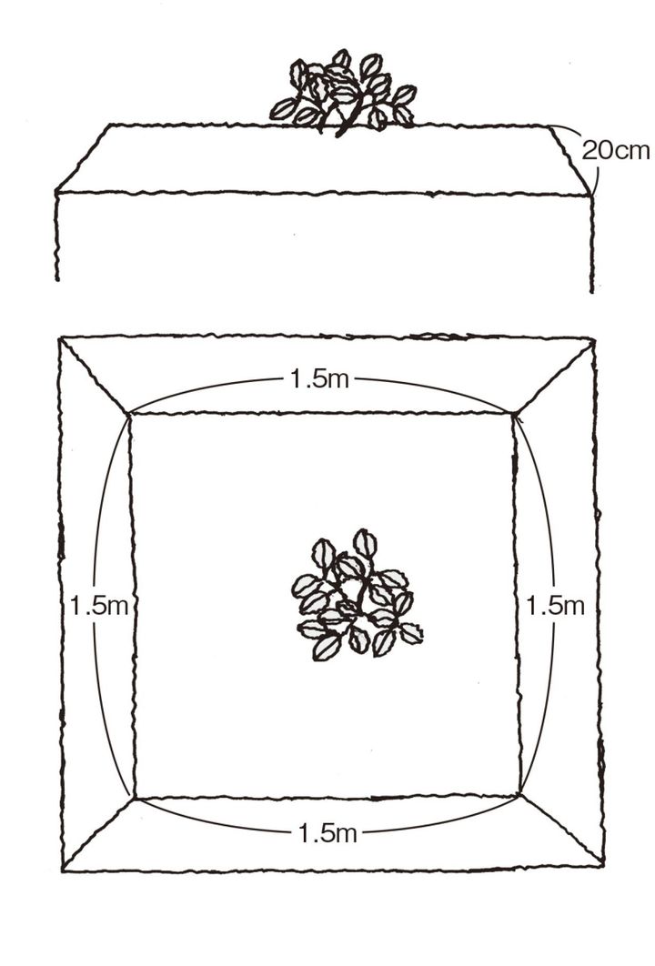 1株当たりの植え床の面積