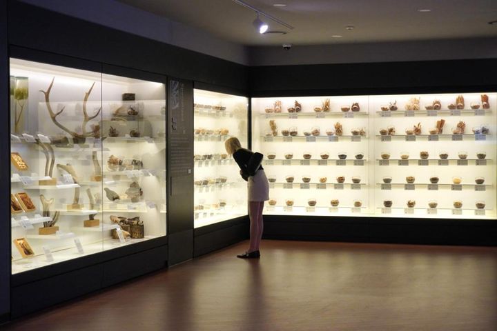 高麗人参をはじめ、鹿の角やサルノコシカケなど、300種以上あると言われる薬材とその効能を展示。