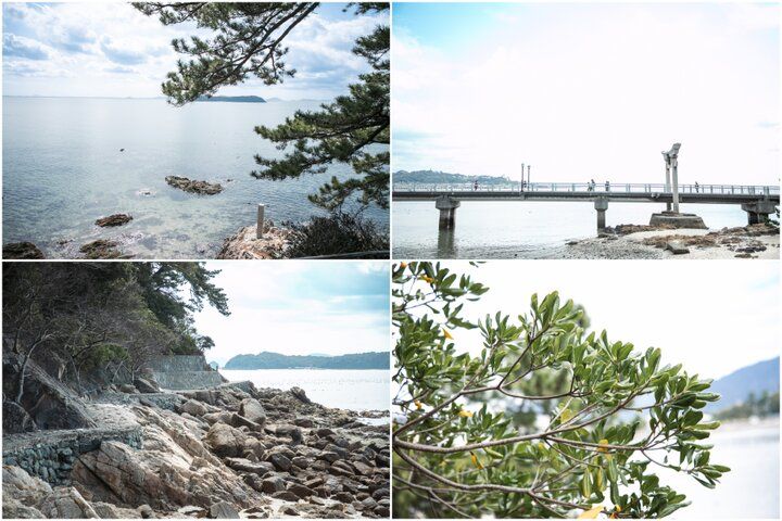橋を歩いて渡れる、愛知・蒲郡の竹島へ。「八百富神社」におまいりして、島の風景も満喫