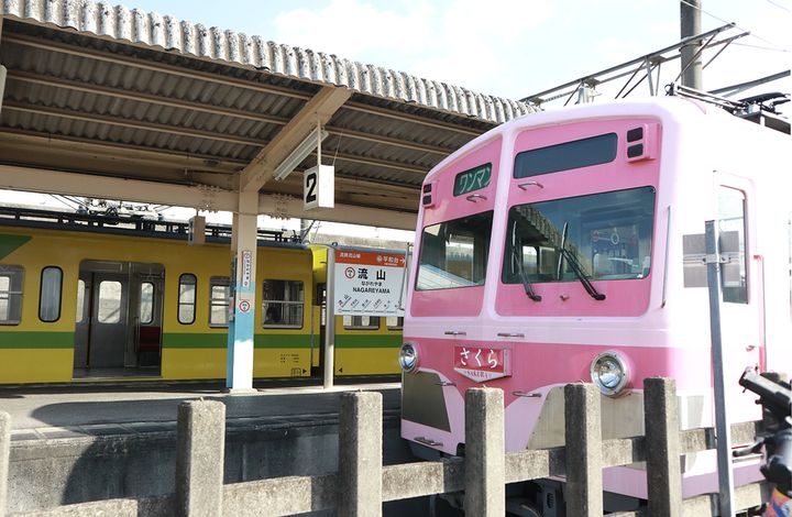 流鉄流山線（さくら号となの花号）