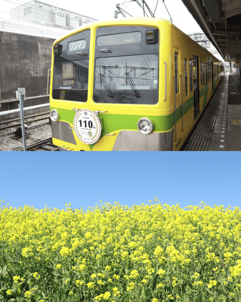 千葉の流鉄流山線で猫の日を祝いながら春を楽しむ旅