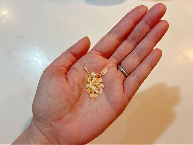 ドライオニオンのサイズ