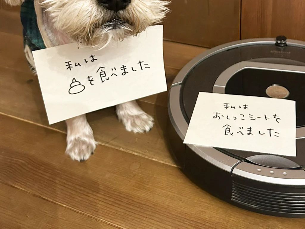 愛犬の可愛さに癒される！共犯者としての犬との絆