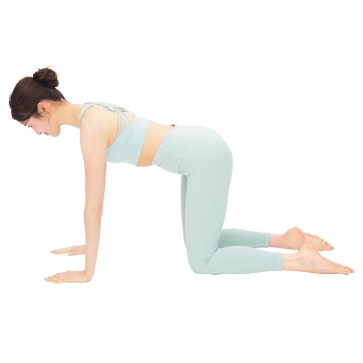 1. 四つんばいになる。