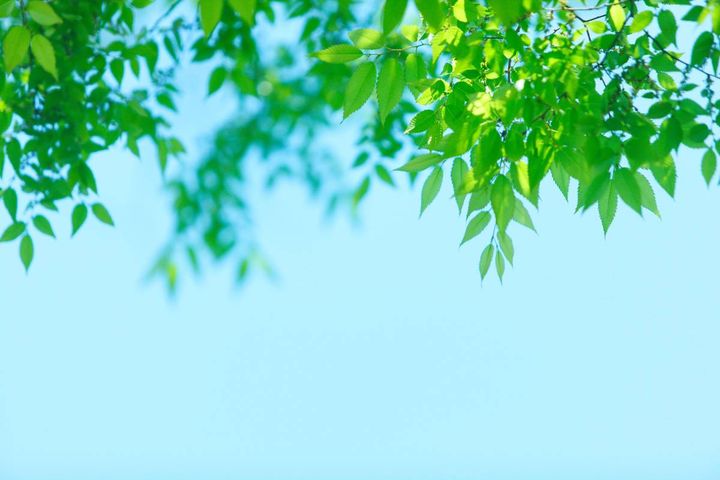 2026年3月31日(火) 開運日