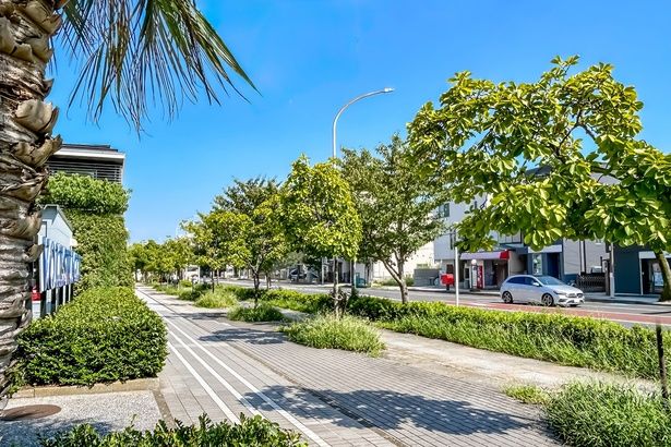 緑が映える横浜の道 （C）genista／PIXTA