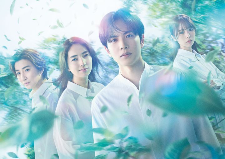 ドラマ『10回切って倒れない木はない』キービジュアル （C）日本テレビ width=