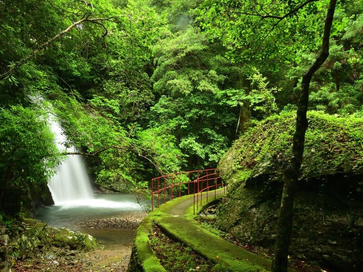 All About ニュース編集部は「道の駅（グルメ）」に関するアンケート調査を実施。「グルメが魅力的だと思う和歌山県の道の駅」ランキングで1位に選ばれたのは？