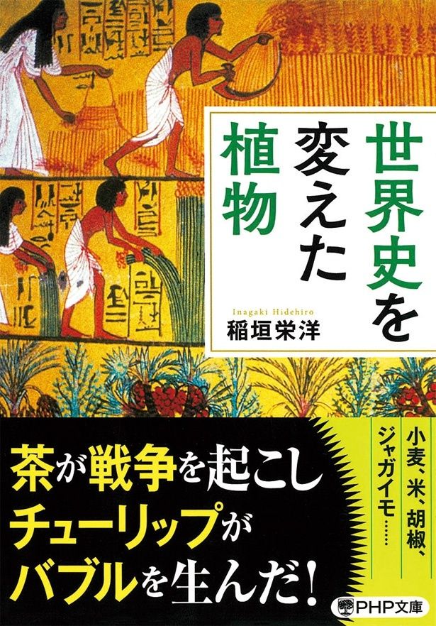 『世界史を変えた植物』 （稲垣栄洋／PHP文庫） 902円（税込）