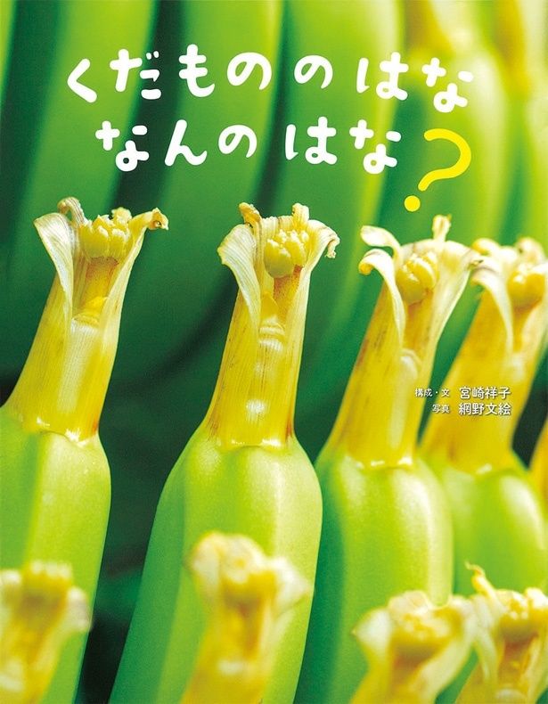 『くだもののはななんのはな？』 （宮崎祥子：構成・文 網野文絵：写真／岩崎書店） 1540円（税込）