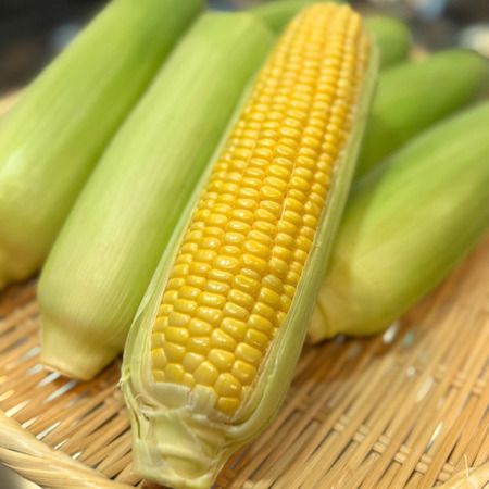 【神奈川県横浜市】地元食材の魅力を発信する地産地消ジェラート専門店「Nicolita」が開店1周年！