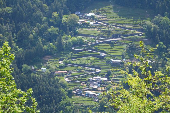 「中井侍」の風景