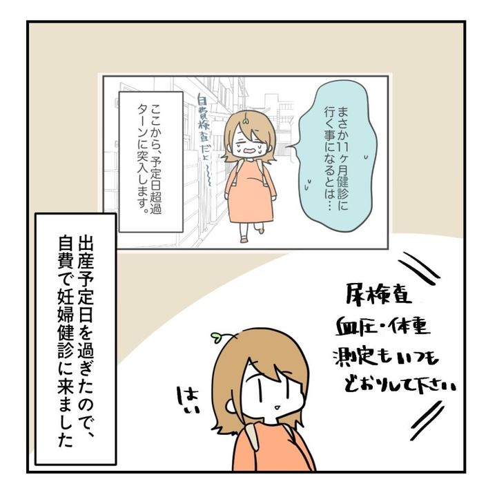 不妊治療で妊娠した私の妊娠記録／kiki