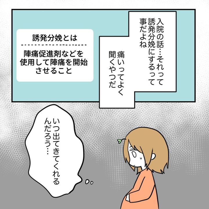 不妊治療で妊娠した私の妊娠記録／kiki