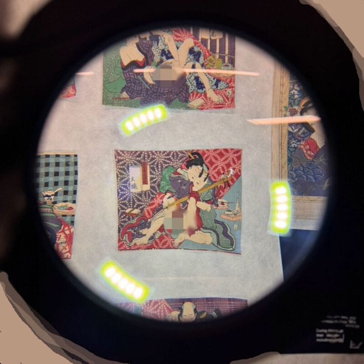 とても鮮やかで今どきの色彩