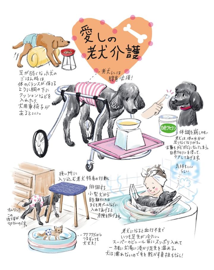 愛しの介護保険