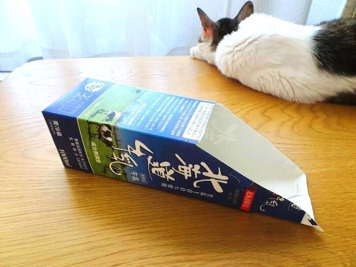 牛乳パックがベランダ掃除に超便利！！意外な場所にジャストフィット